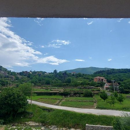 Apartman Nature Zvecanje Bagian luar foto
